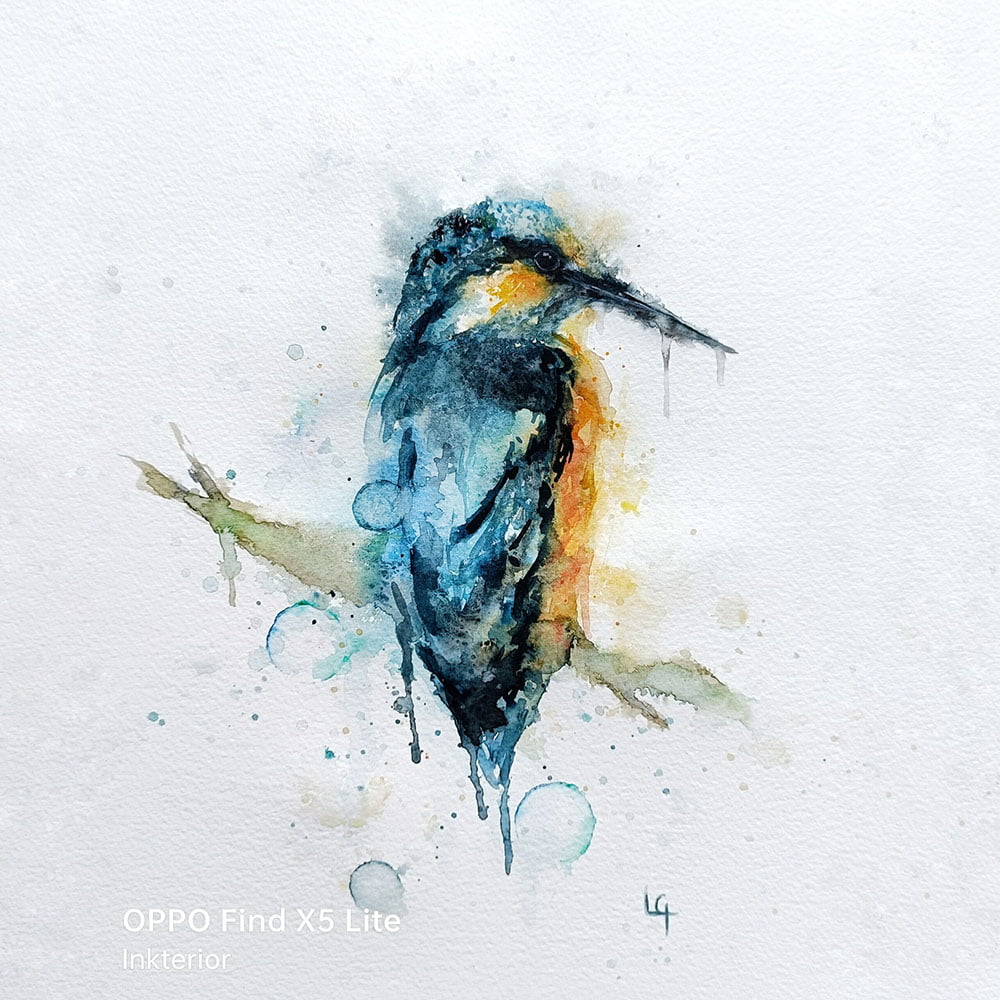 Watercolour drawing of a kingfisher