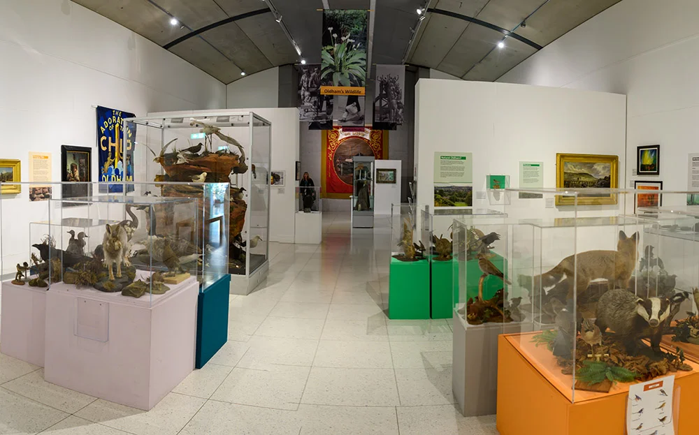 A view of display cases in the exhibition